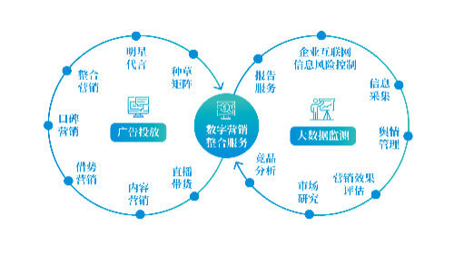 网络设备维保公司